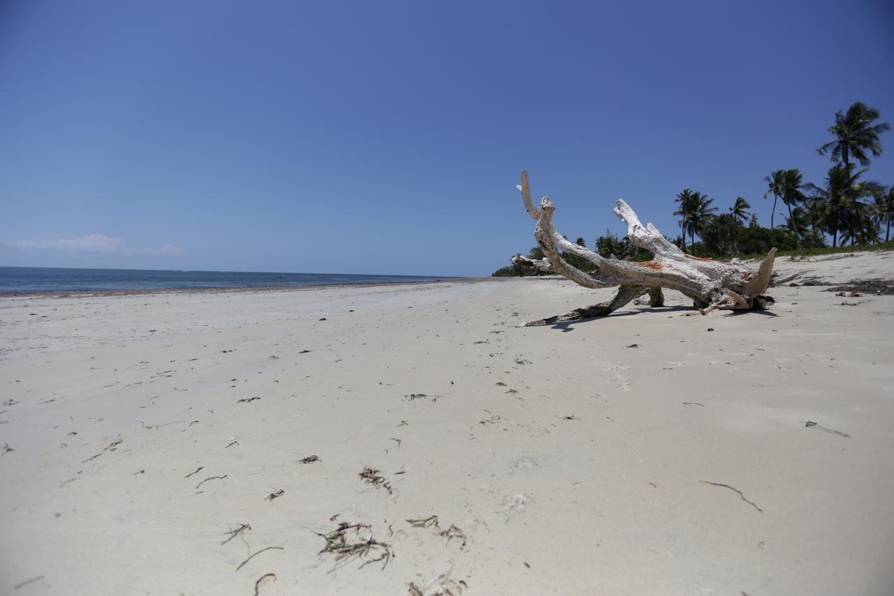 The Beach Crab Resort Pangani 外观 照片